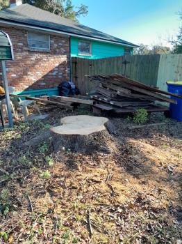 Image for Bushor's Tree Surgeons with ID of: 6844999