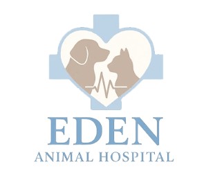 Image for Eden Animal Hospital with ID of: 6950361