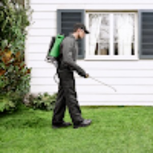 Image for Terminix with ID of: 6847554