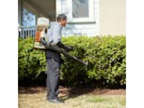 Image for Terminix with ID of: 6847797