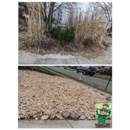 Image for Thomas and Son Landscaping LLC with ID of: 6848035