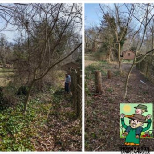 Image for Thomas and Son Landscaping LLC with ID of: 6848037