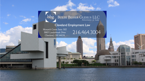 Image for Bolek Besser Glesius LLC with ID of: 6849588