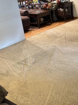Image for Zerorez Bay Area Carpet Cleaning with ID of: 5213969