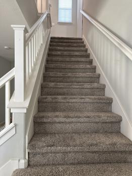 Image for Zerorez Bay Area Carpet Cleaning with ID of: 6850635