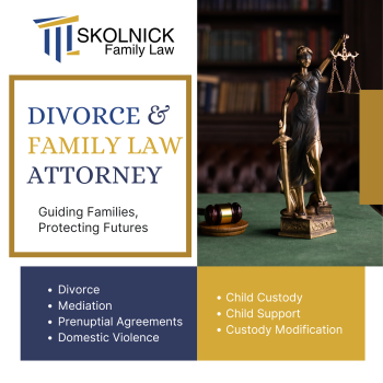 Image for Skolnick Family Law with ID of: 6850668