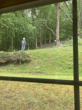 Image for Apex Tree Works LLC with ID of: 6850785