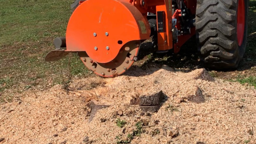 Image for Apex Tree Works LLC with ID of: 6850786
