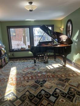 Image for Solich Piano Detroit with ID of: 6850910