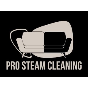 Image for Pro Steam Cleaning with ID of: 6956147