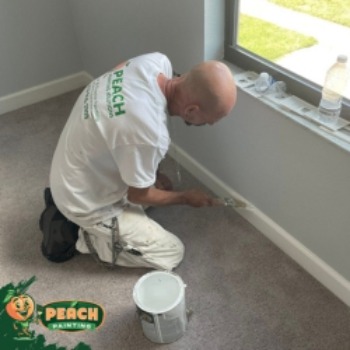 Image for Peach Painting with ID of: 6852206