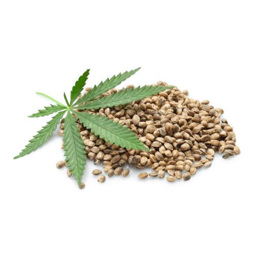 Image for The Seed Fair Cannabis Seeds with ID of: 6852565