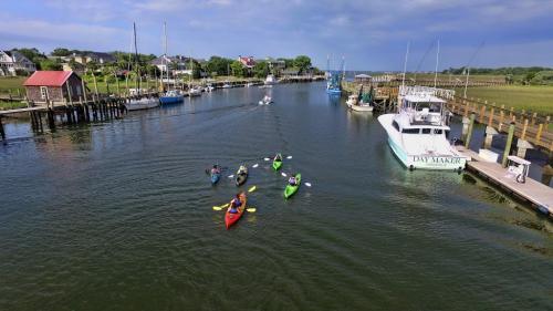Image for Nature Adventures on Shem Creek with ID of: 6853660