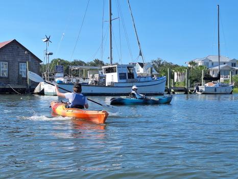 Image for Nature Adventures on Shem Creek with ID of: 6853662