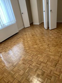 Image for Costina Cleaning Services LLC with ID of: 6854353
