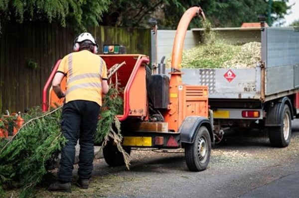 Image for GVM Tree Services with ID of: 6854939