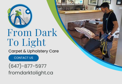 Image for From Dark To Light Carpet & Upholstery Care with ID of: 6855191