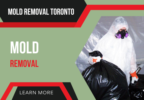 Image for MOLD REMOVAL TORONTO LTD with ID of: 6855232