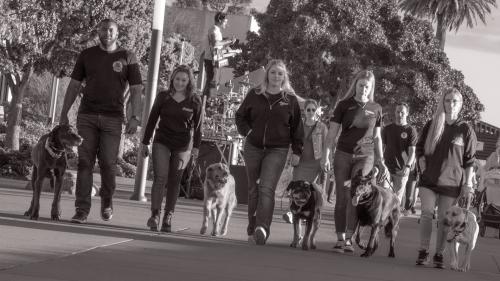 Image for Off Leash K9 Southern CA with ID of: 6855687