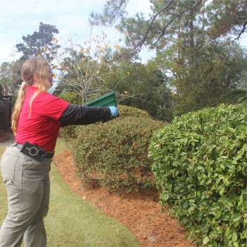 Image for Palmetto Exterminators with ID of: 6856343