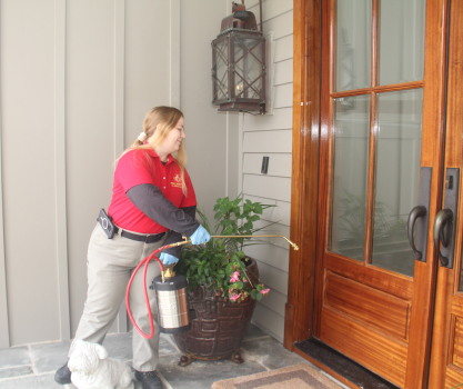Image for Palmetto Exterminators with ID of: 6856344