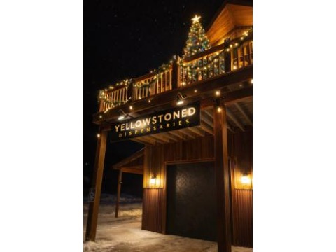 Image for Yellowstoned with ID of: 6856510