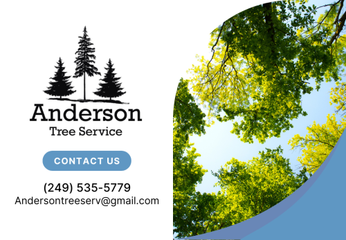 Image for Anderson Tree Service with ID of: 6856747