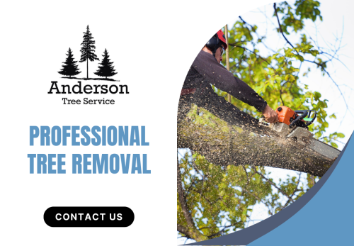 Image for Anderson Tree Service with ID of: 6856748