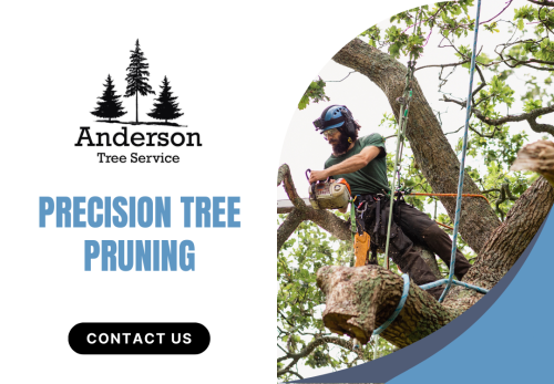 Image for Anderson Tree Service with ID of: 6856749
