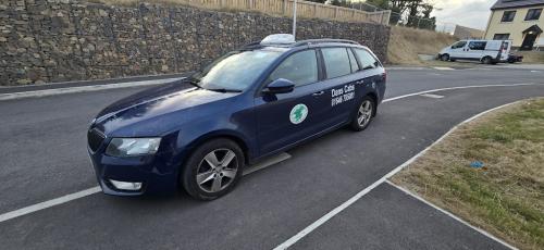 Image for Dan's Cabs with ID of: 6858059