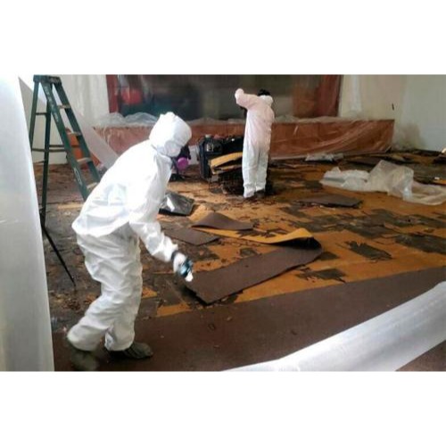 Image for Asbestos Removal Pro with ID of: 6858487