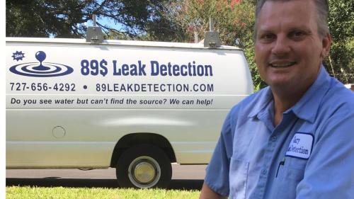 Image for 89 Leak Detection with ID of: 6859714