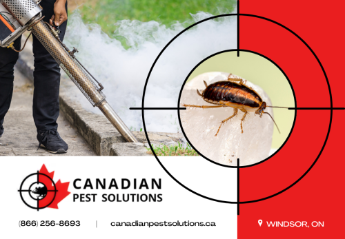 Image for Canadian Pest Solutions Windsor with ID of: 6860247