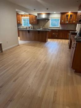 Image for Dynamic Floor Covering with ID of: 6860459