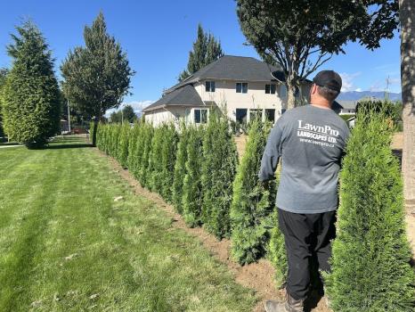 Image for LawnPro Landscapes Ltd. with ID of: 6862196
