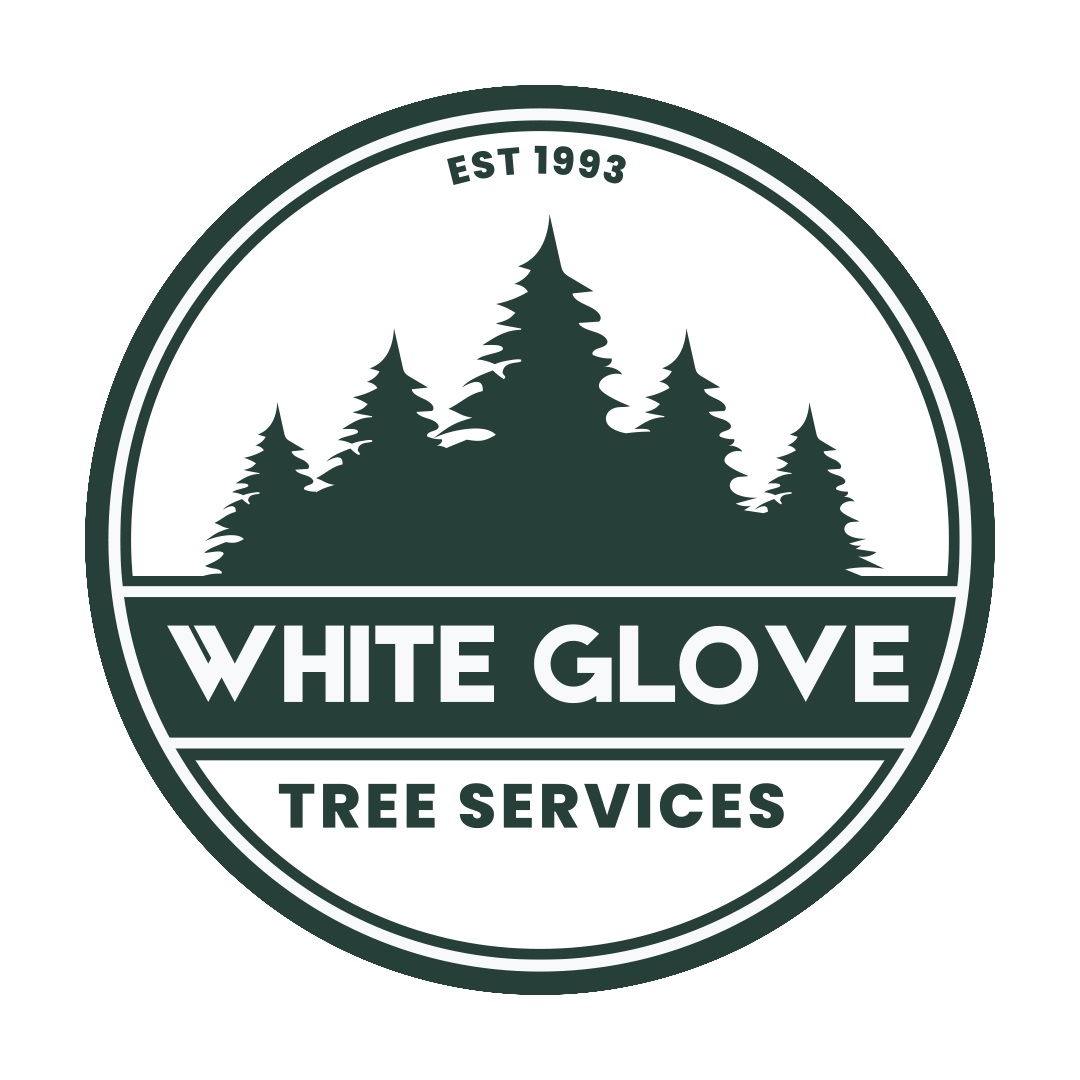 Image for White Glove Tree Services with ID of: 6962386