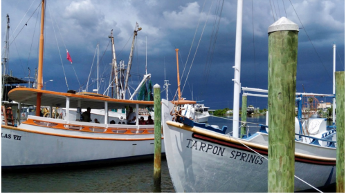 Image for Explore Tarpon Springs with ID of: 6864631