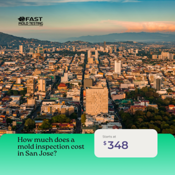 Image for Fast Mold Testing - San Jose with ID of: 6864771