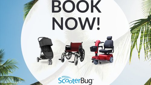 Image for ScooterBug Orlando with ID of: 6865540