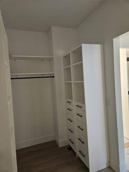 Image for Shane Paints with ID of: 6865793
