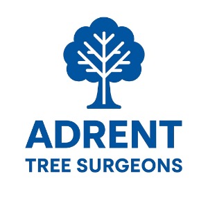 Image for Adrent Tree Surgeons with ID of: 6966182