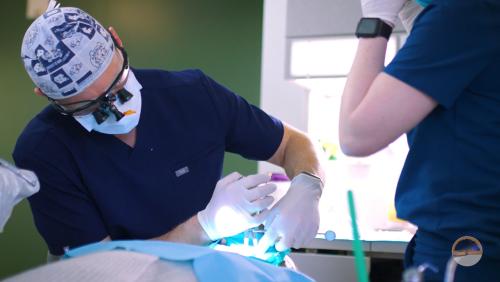 Image for Sunrise Dental with ID of: 6866747