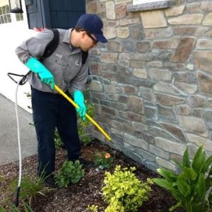 Image for Cascade Pest Control with ID of: 6867939