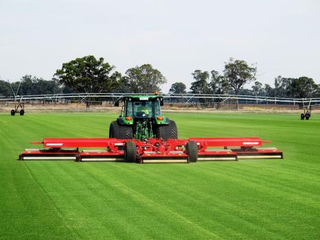 Image for Lilydale Instant Lawn with ID of: 6869350