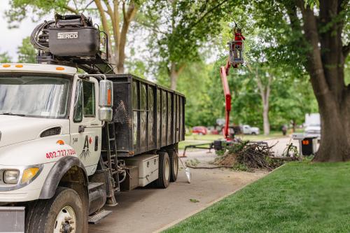 Image for A-Plus Tree Service Inc with ID of: 6869428