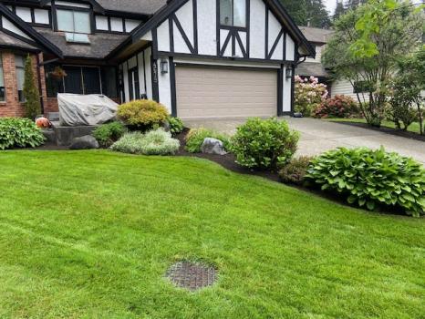 Image for Pilkington Lawn and Landscape with ID of: 6869816