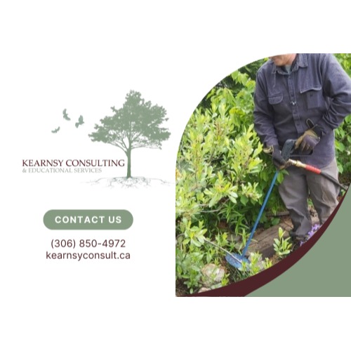 Image for Kearnsy Consulting and Educational Services with ID of: 6869881