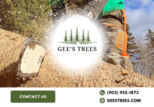 Image for Gee's Trees with ID of: 6872035