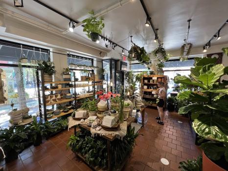 Image for PlantShed with ID of: 6872755