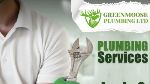 Image for Greenmoose Plumbing with ID of: 6872801